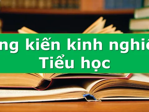 Vai Trò Của Sáng Kiến Kinh Nghiệm Tiểu Học Trong Dạy Học 