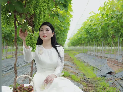 NSƯT Hương Giang ra mắt MV “Thương Cha” hưởng ứng Ngày Của Cha năm 2024