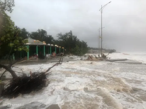 Cây Đổ, Đường Ngập Khi Bão Trà Mi Đổ Bộ