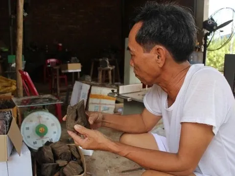 “Thế Giới” Trầm, Kỳ: Những Phu Trầm Khét Tiếng Một Thời