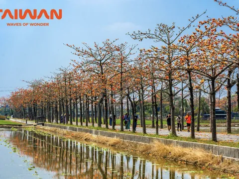 Bản hoà ca mùa xuân của muôn hoa xứ Đài