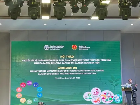 Gợi ý các ưu tiên về đất và nước trong chuyển đổi hệ thống lương thực, thực phẩm của Việt Nam theo FAO Roadmap