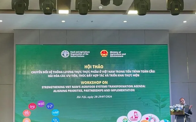 Gợi ý các ưu tiên về đất và nước trong chuyển đổi hệ thống lương thực, thực phẩm của Việt Nam theo FAO Roadmap